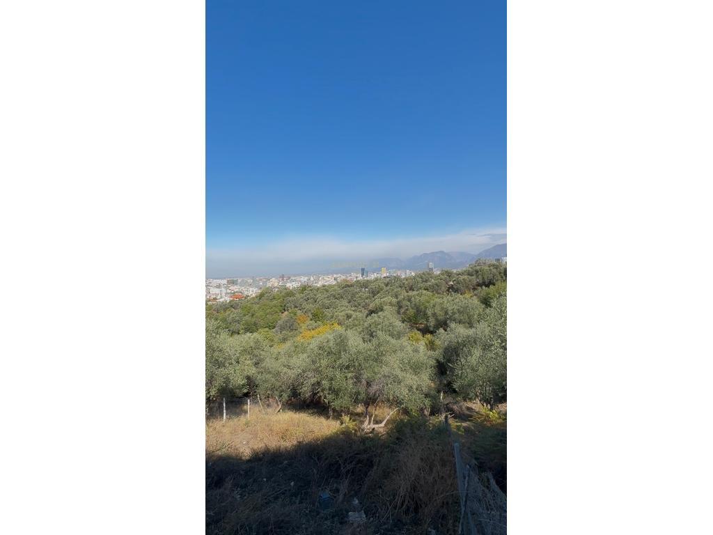 Shiten 770 + 1000 m² tokë, Rruga e Garunjës, Liqeni i Thatë – Tiranë