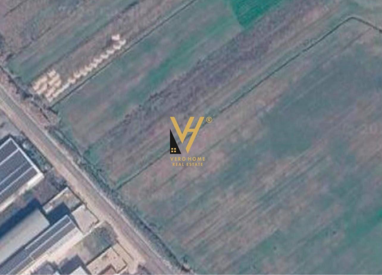 JEPET TOKE 7.000 M2 ME QERA NE VORE,MUÇAJ 250.000 LEKE – Tiranë
