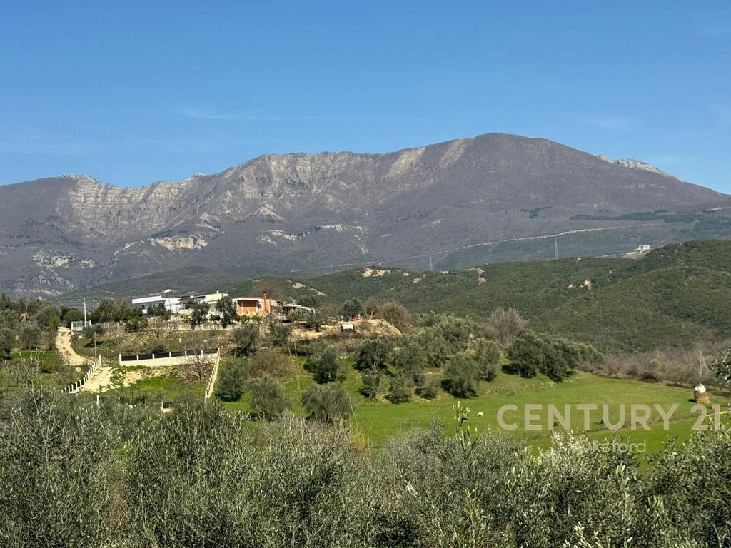 Tokë Për Shitje në Farkë e Madhe, Tiranë | 4950 m² – Tiranë