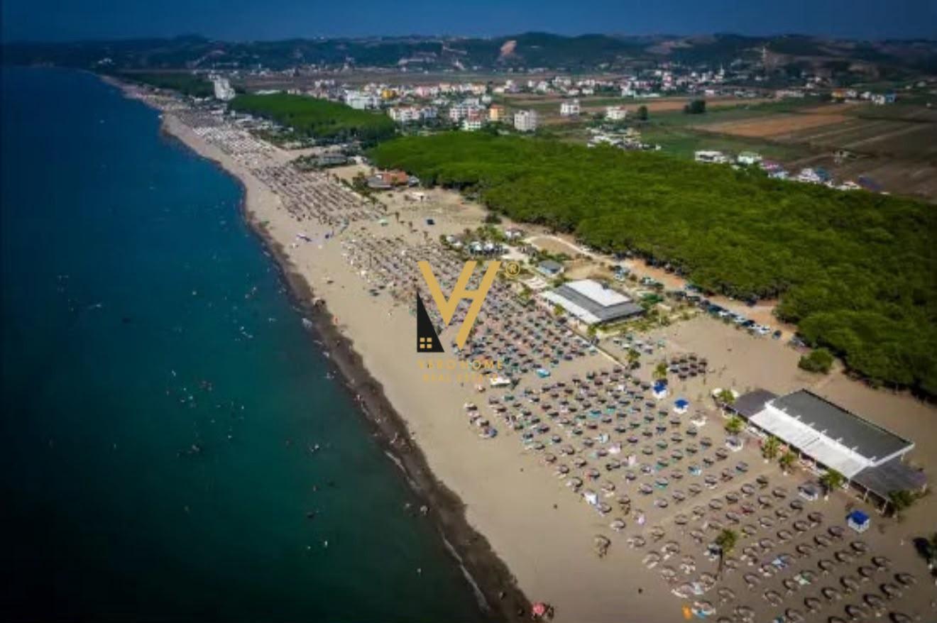 SHITET TOKE 10.000 M2 NE SPILLE 750.000 EURO – Tiranë