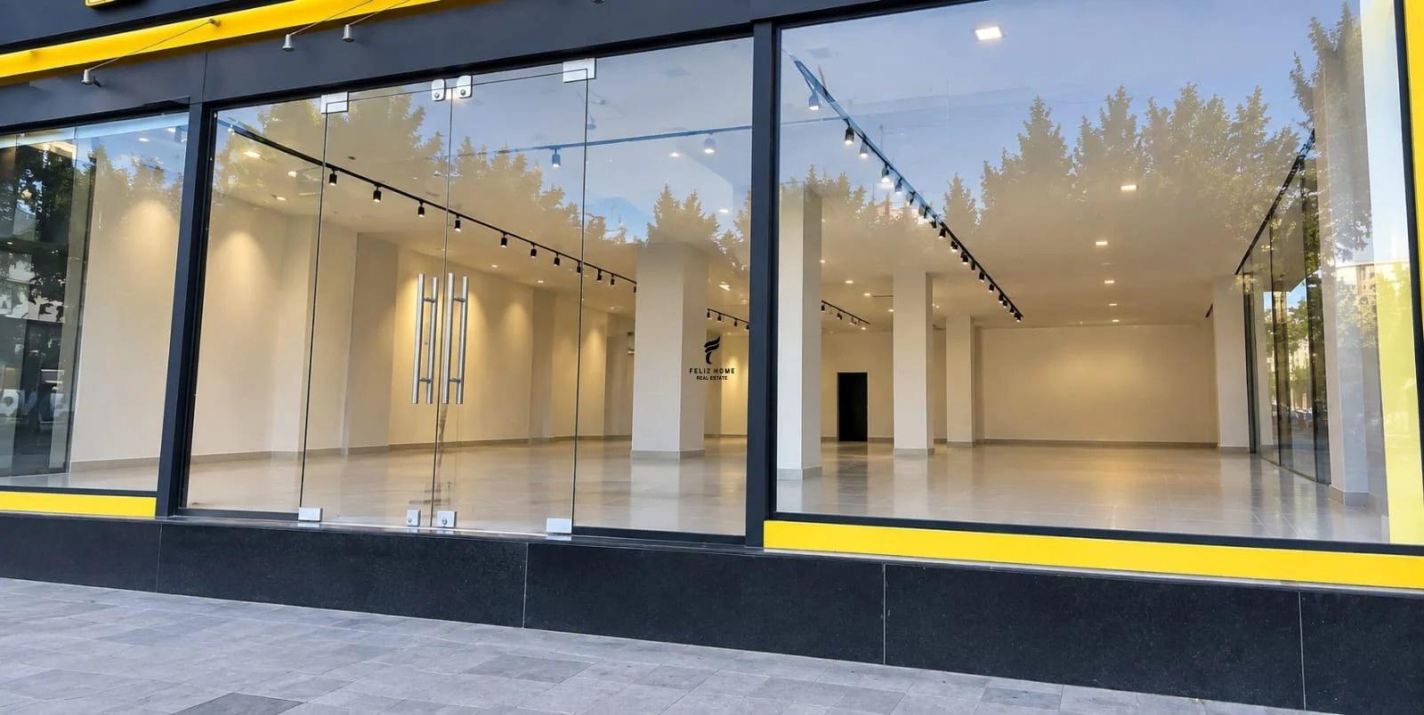 DYQAN ME QERA 130 M2 VASIL SHANTO 300.000 LEKE FH-94494 – Tiranë