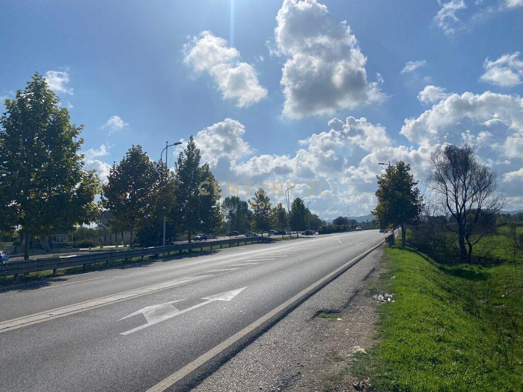 SHITET TOKE NE RINAS ! – Tiranë - 1