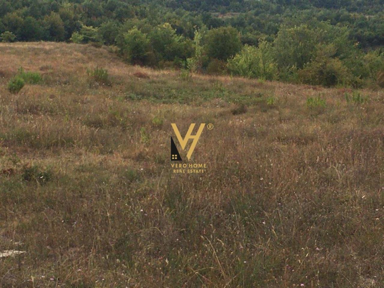 SHITET TOKE 5500M2 NE GURRE 220.000 EURO – Tiranë