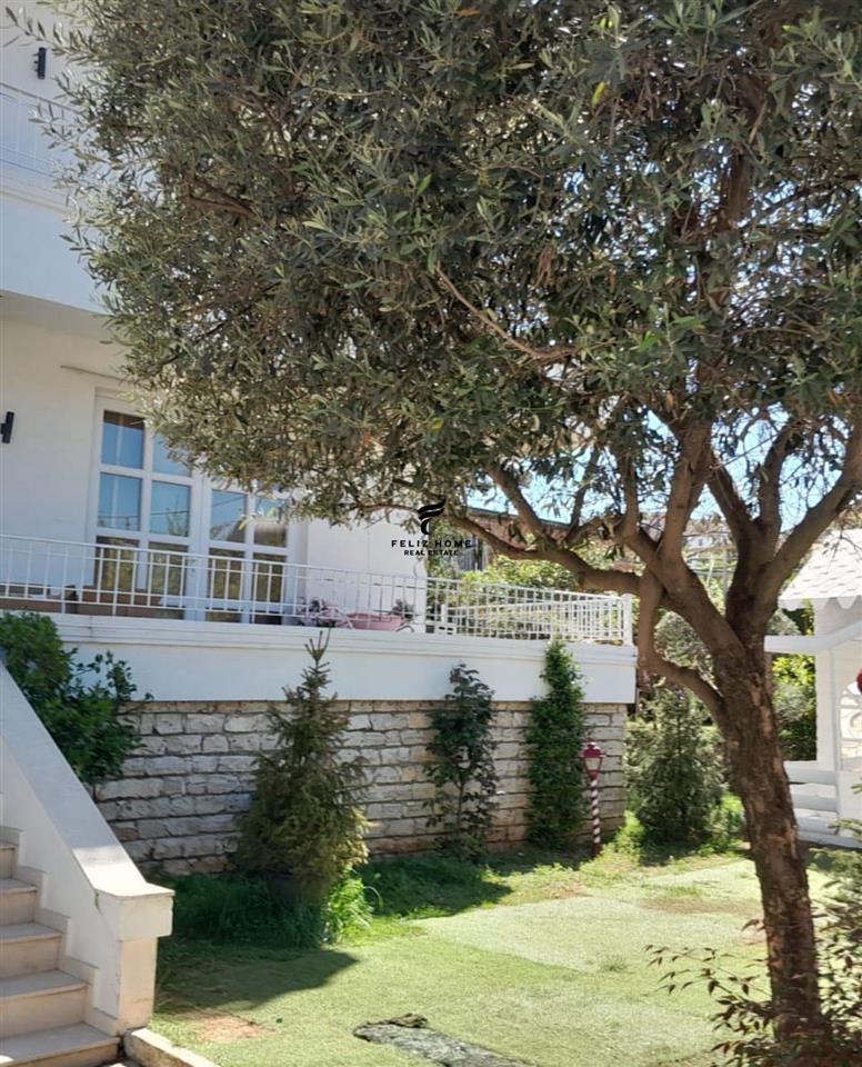 SHITET VILE 950 M2 ALLIAS 520.000 EURO – Tiranë