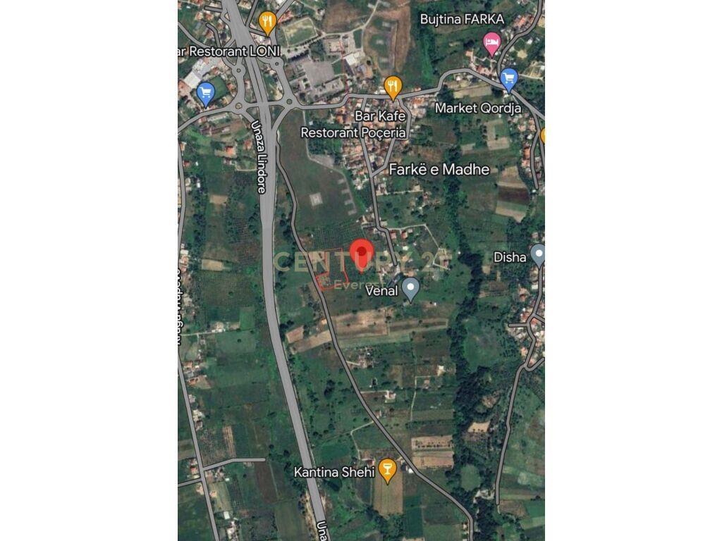 SHITET TOKE NE FARKE! – Tiranë - 1