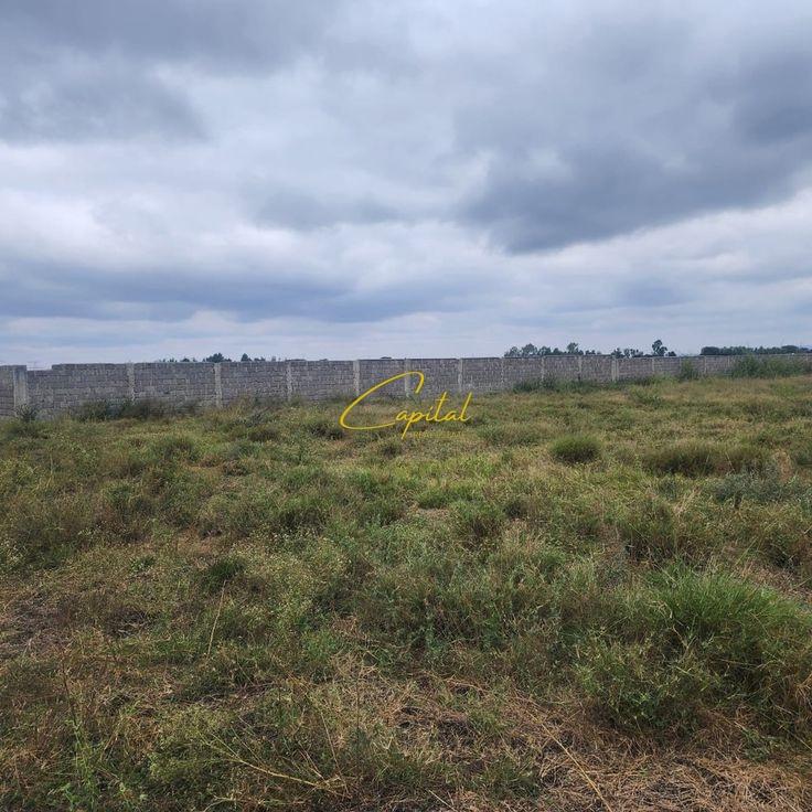 TOKE ME QIRA 925 M2 YRSHEK 92.500 LEKE – Tiranë