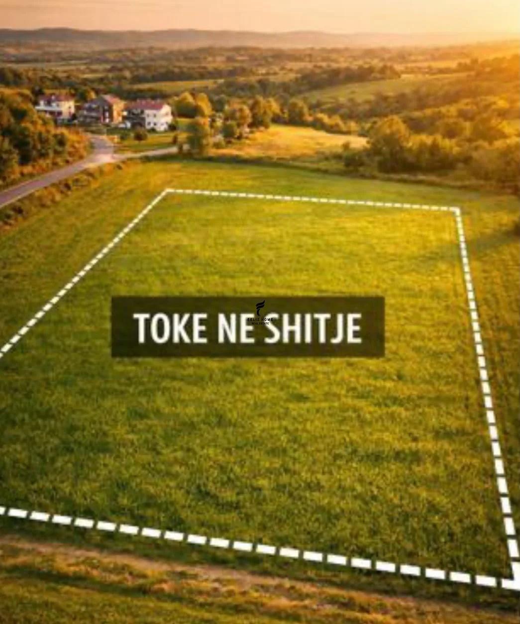 SHITET TOKE ARE 1300 M2 PASKUQAN 260.000 EURO FH-95772 – Tiranë