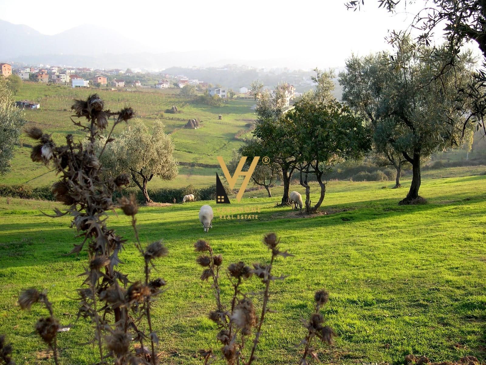 SHITET TOKE ARE 6.000 M2 TE FSHATI I RI, FARKE – Tiranë