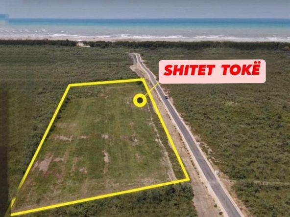 SHITET TOKE 10,000m2 NE BREGDET,PLAZH NE VILE BASHTOVE. – Tiranë