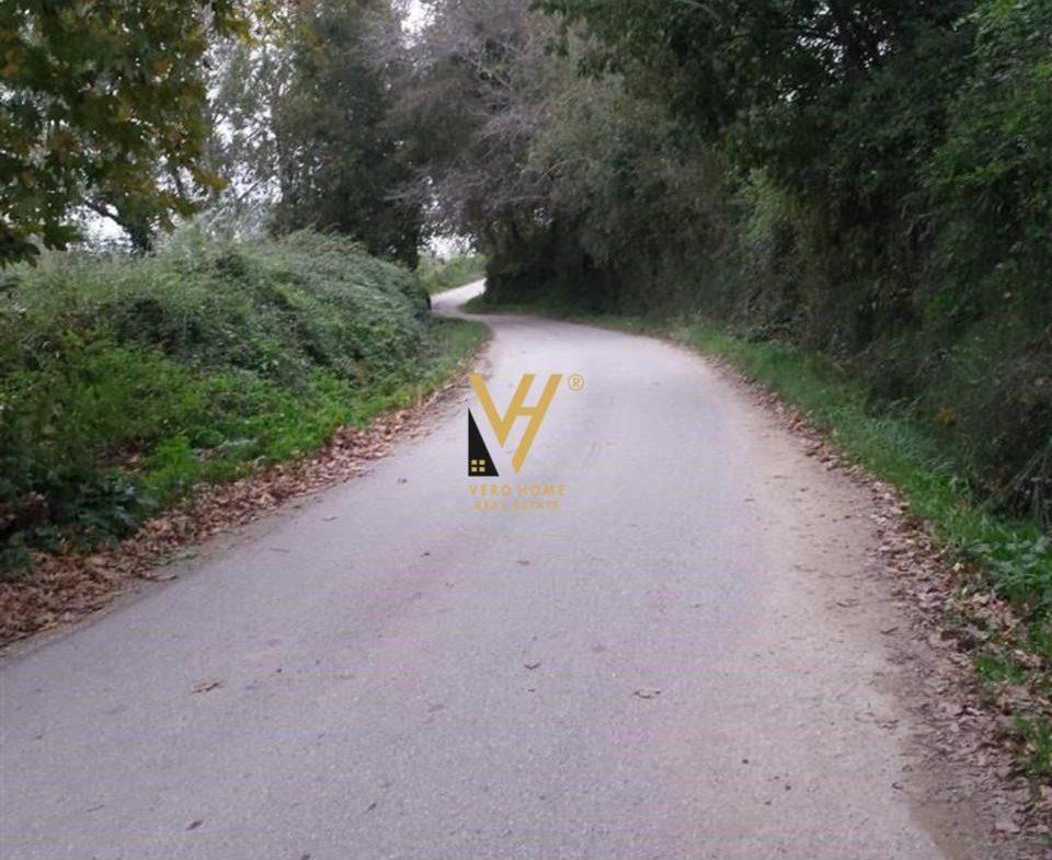 SHITET TOKE 8.000 M2 NE NDROQ 490.000 EURO – Tiranë - 1