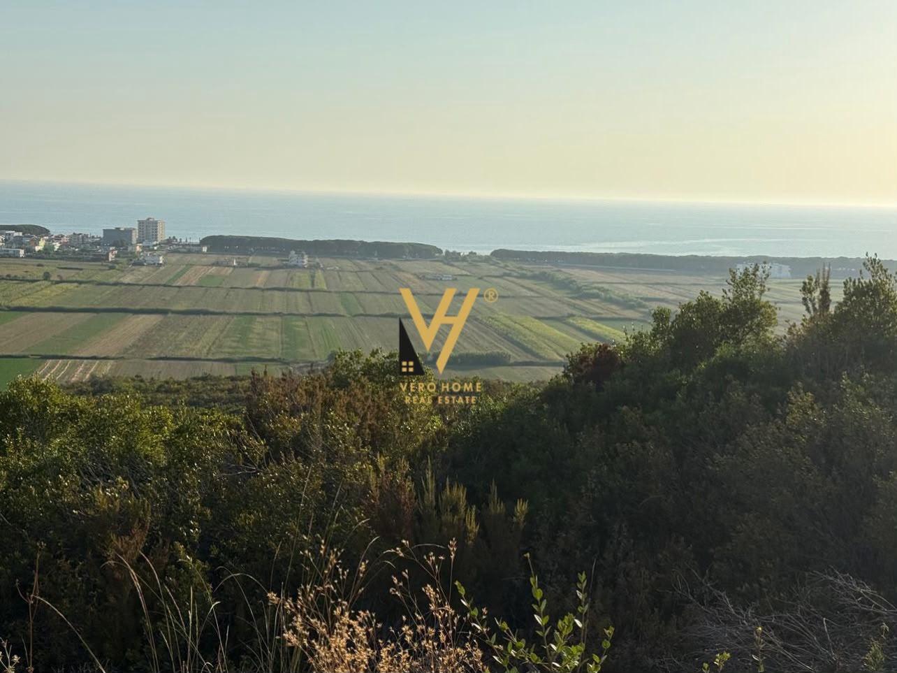 SHITET TOKE 2.900 M2 NE SPILLE, KAVAJE 340.000 EURO – Kavajë - 1