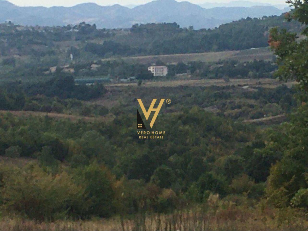 SHITET TOKE 5.500 M2 NE GURRE TE VOGEL PRANE EQUOS RESORT 27 – Tiranë