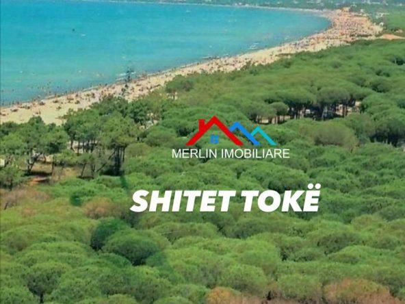 SHITET TOKE 10,000m2 NE BREGDET,TEK PLAZHI I VILE BASHTOVES. – Tiranë