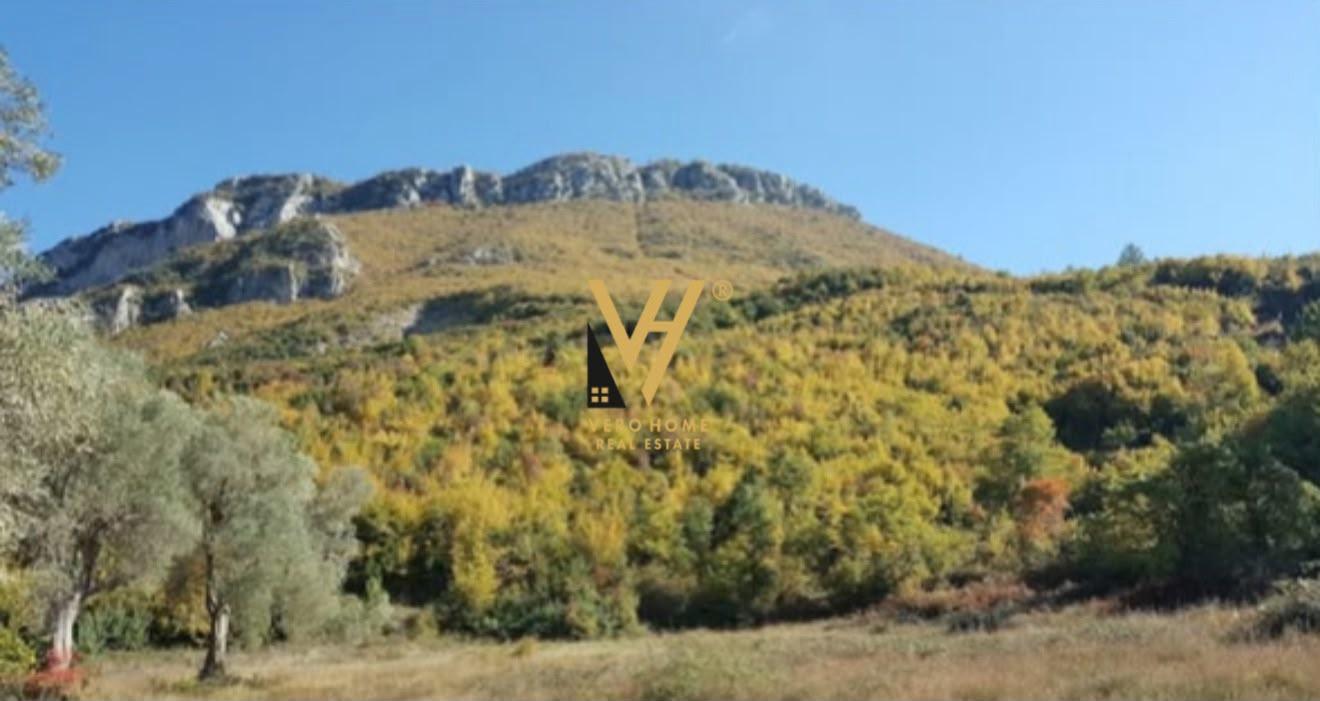 SHITET TOKE ARE 600 M2 NE PELLUMBAS, TIRANE 4.000.000 LEKE – Tiranë