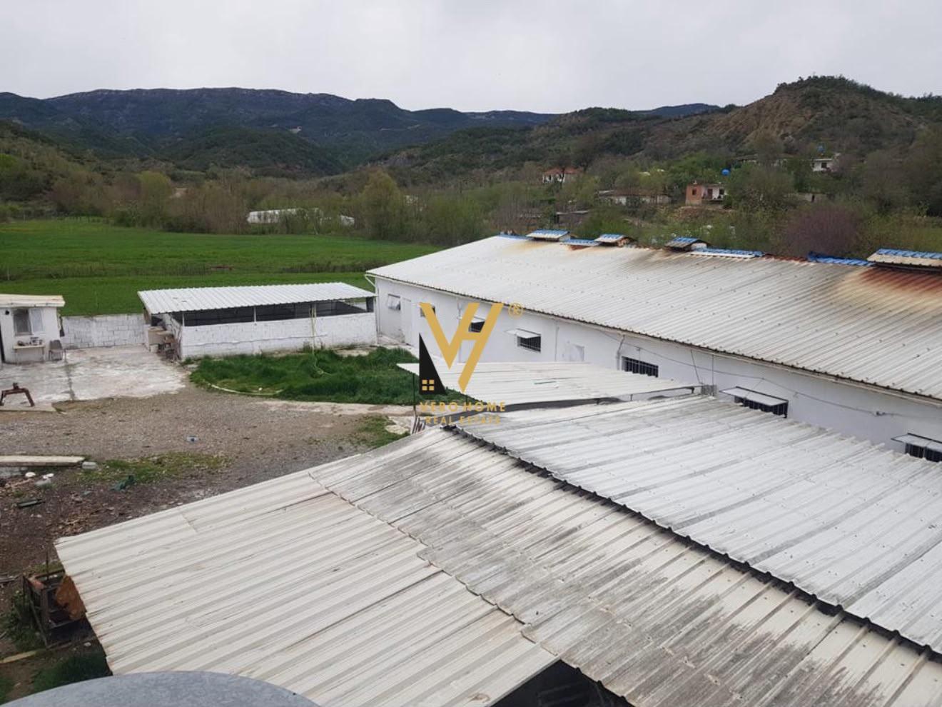 SHITET AMBIENT BIZNESI 1.400 M2 NE BALDUSHK 350.000 EURO – Tiranë