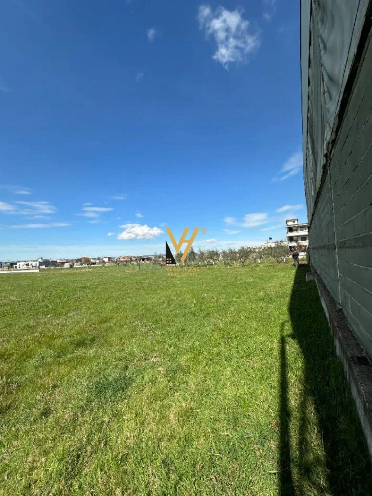 SHITET TOKE ARE 4.200 M2 NE KAMEZ 290.000 EURO – Tiranë