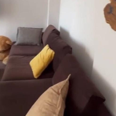 🏡 JEPET ME QIRA APARTAMENT 2+1+2 – KOPSHTI ZOOLOGJIK 📍 Ve – Tiranë