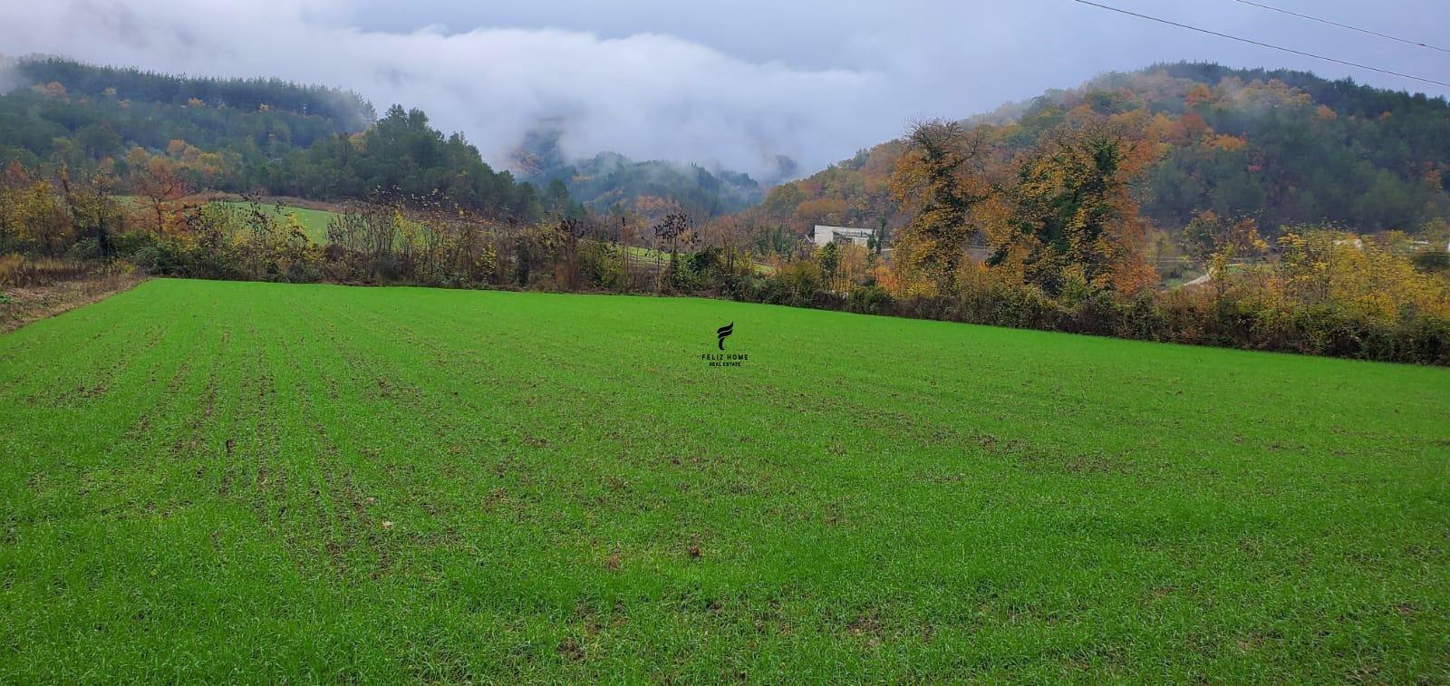 SHITET TOKE 3500 M2 PETRELE 31.500.000 LEKE FH-77391 – Tiranë