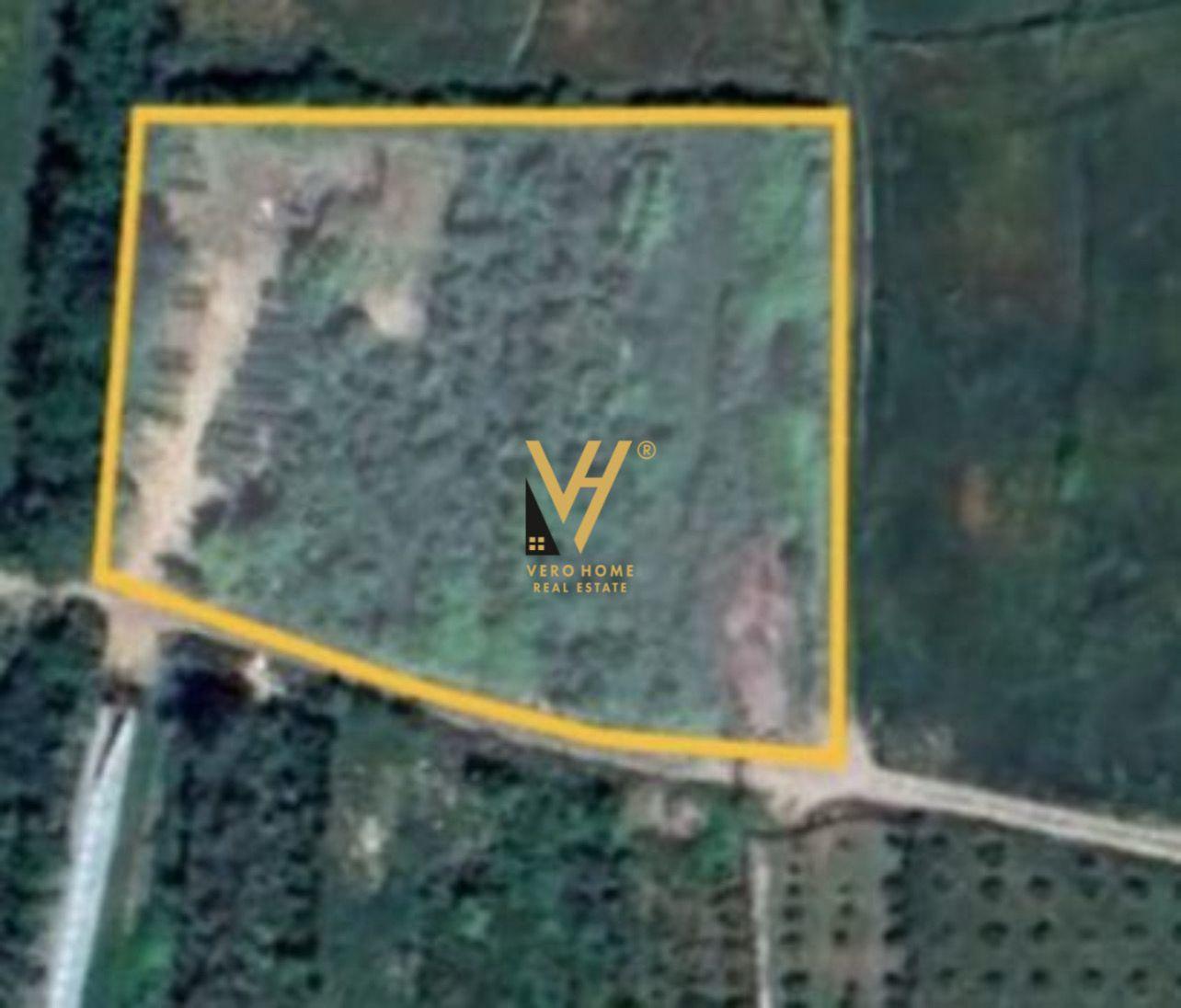 SHITET TOKE 4.600 M2 NE FARKE TE VOGEL 920.000 EURO – Tiranë