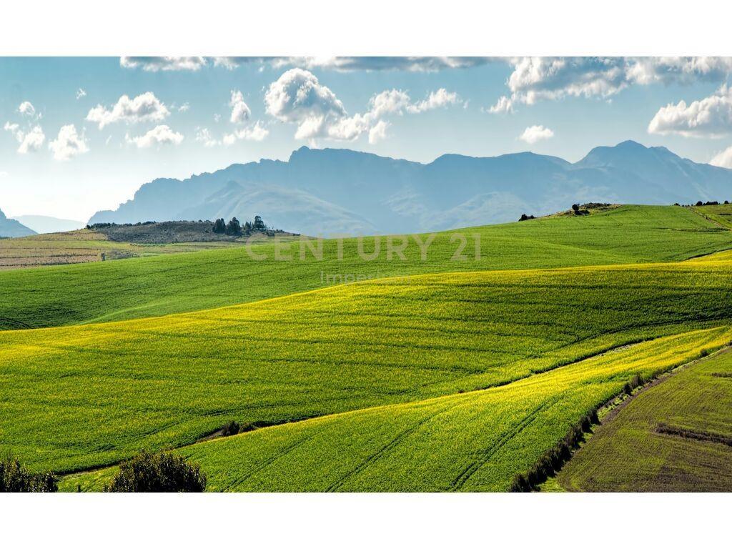Truall për shitje tek Kthesa e Kamzës!! – Tiranë - 1