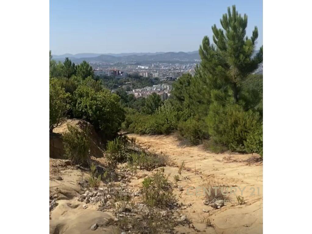 EKSKLUZIVE SHITET TOKE NE ZONEN E LINZES, DAJT – Tiranë - 1