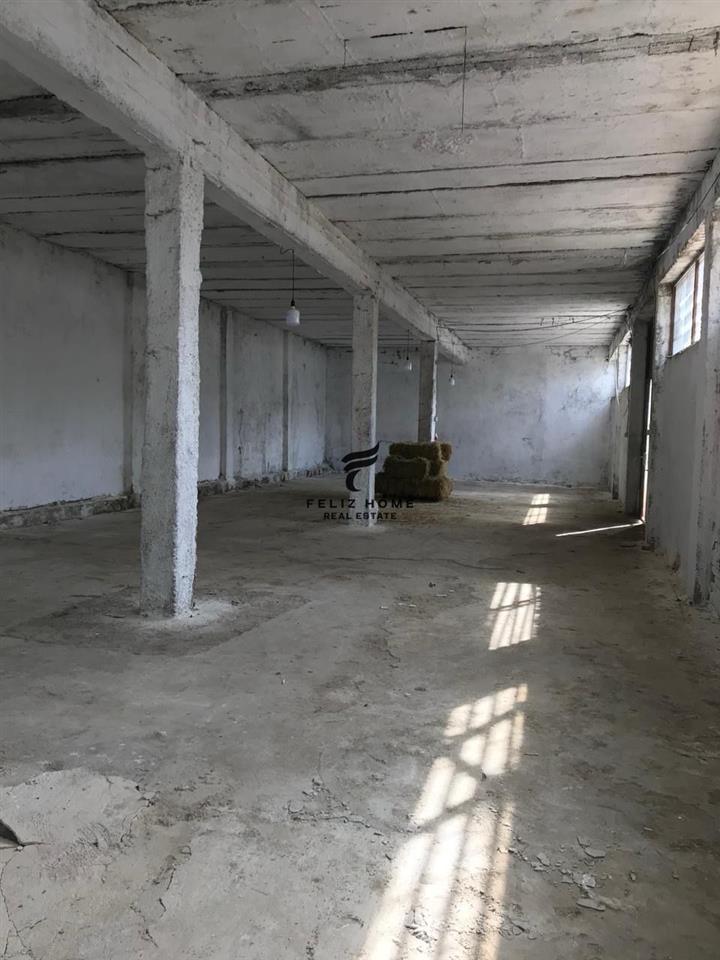 MAGAZINE ME QERA 300 M2 5 MAJI 90.000 LEKE – Tiranë