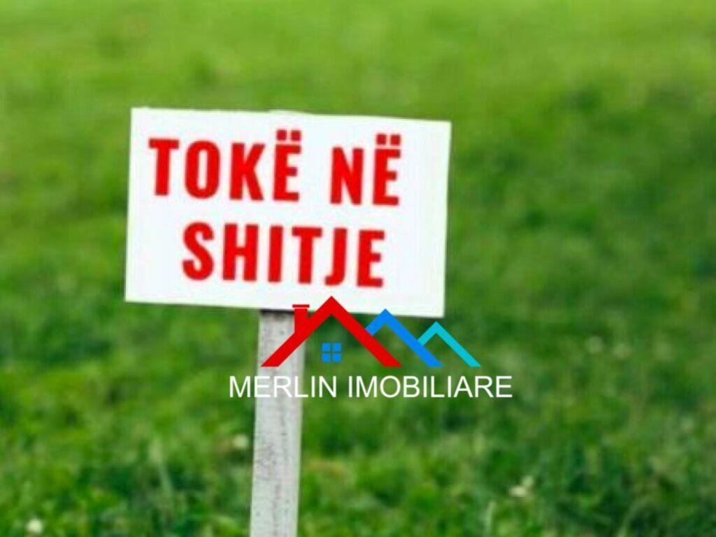 SHITET TOKE BUZE DETIT 3,000M2 NE HIMARE, VLORE. – Vlorë