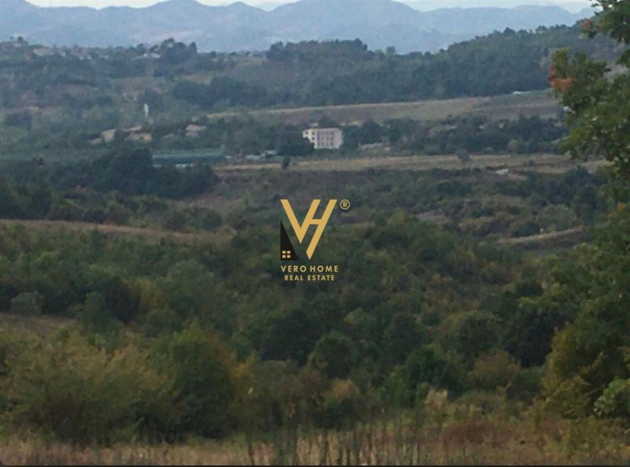SHITET TOKE 5.500M2 PRANES EQUOS RESORT, GURRE 275.000 EURO – Tiranë - 1