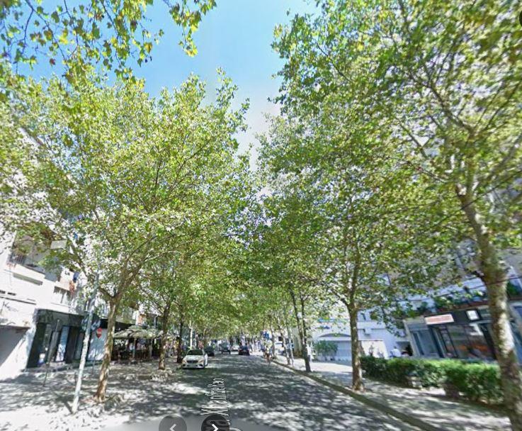 DYQAN NË SHITJE – ISH PROFARMA, TIRANË ID 5622 – Tiranë - 1