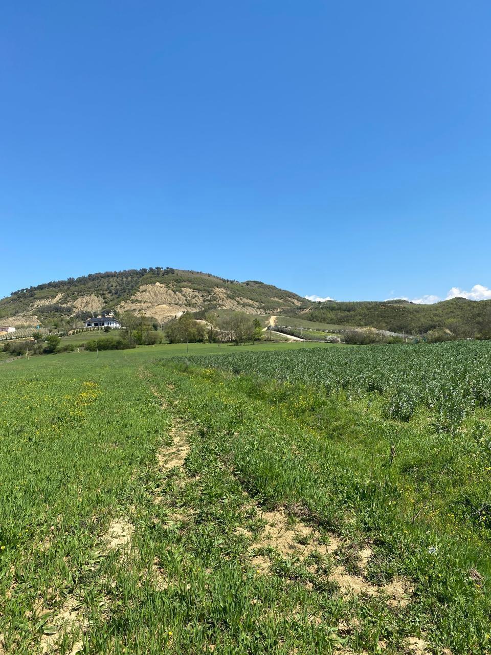 Tokë në shitje, Zhullime, Vishaj – Tiranë - 1