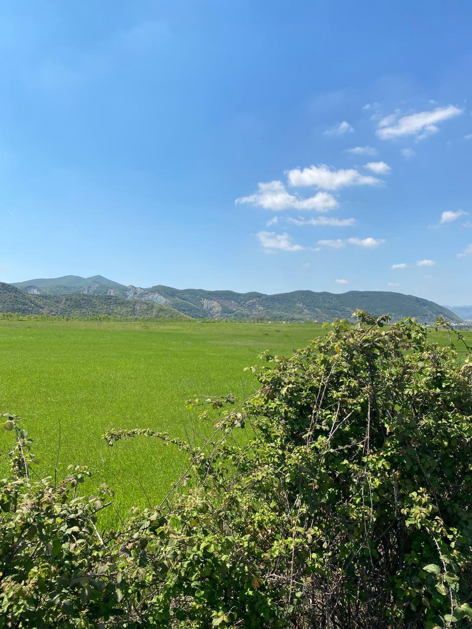 Tokë në shitje, Vishnje – Tiranë