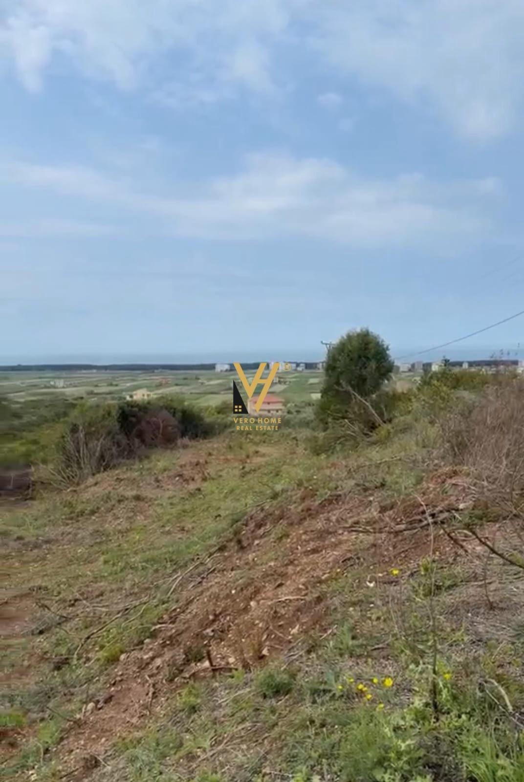 SHITET TOKE 5.444 M2 NE KODER GRETH, SPILLE 140.000 EURO – Kavajë