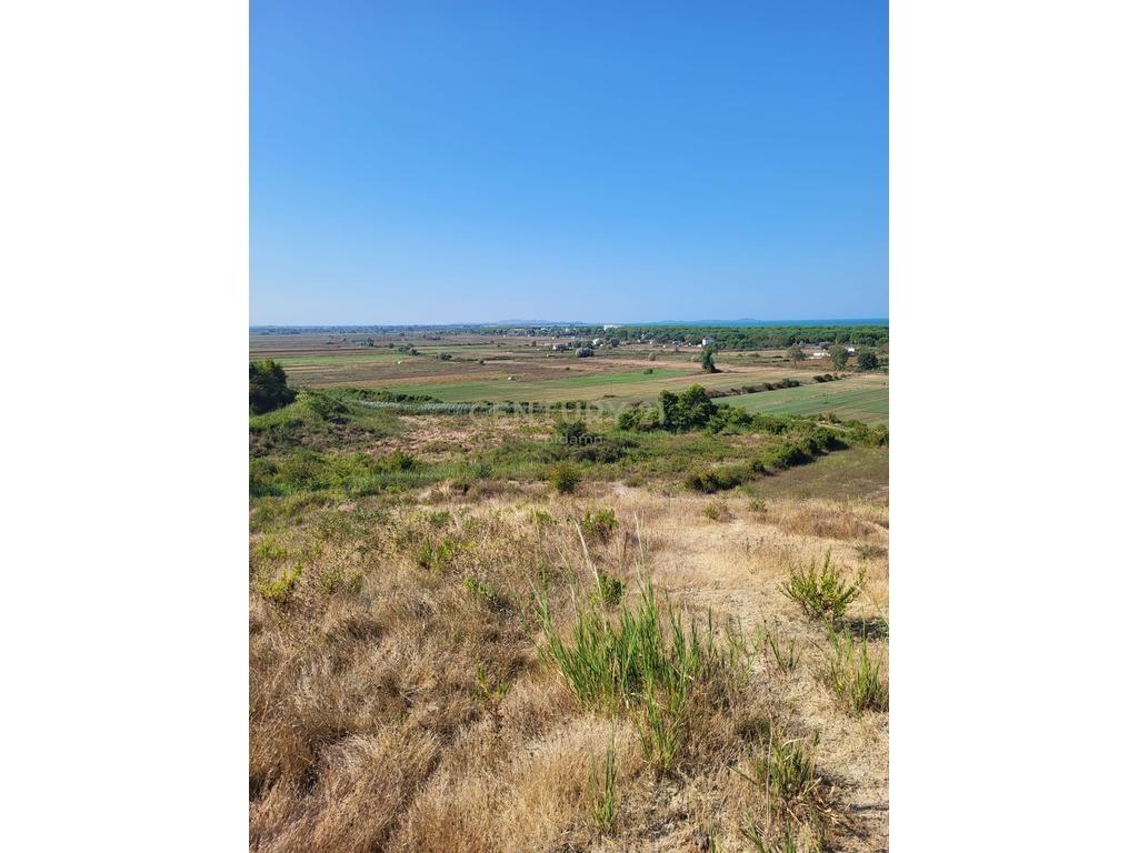 TOKË PËR SHITJE NË GJIRIN E LALZIT 180.000 € | 3000 m² – Durrës