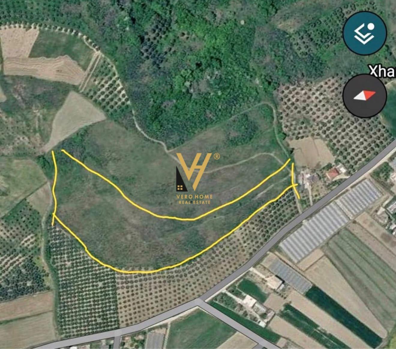 SHITET TOKE BUJQESORE 14.000 M2 NE SHEGAS,LUSHNJE 6.000.000L – Lushnjë - 1