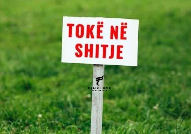 SHITET TOKE 5930 M2 BALDUSHKU 326.150 EURO – Tiranë
