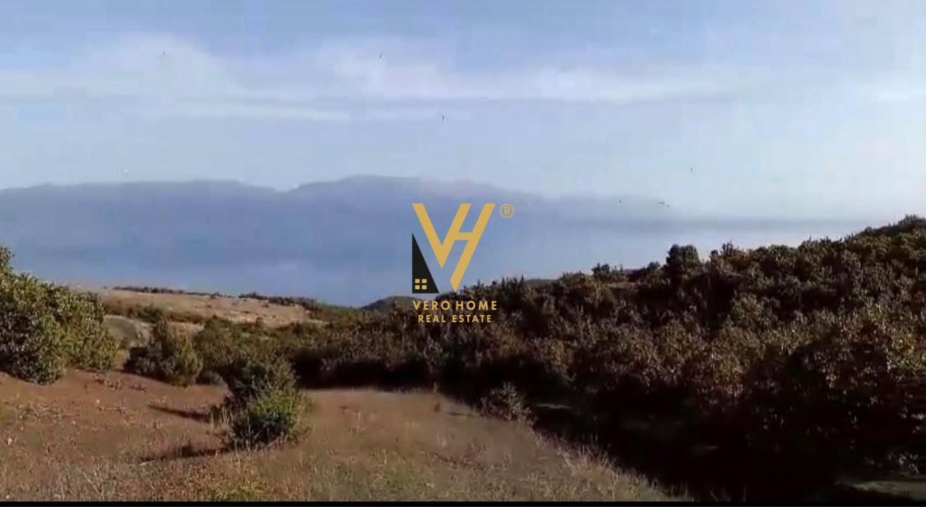 SHITET TOKE 400.000 M2 NE POGRADEC – Pogradec