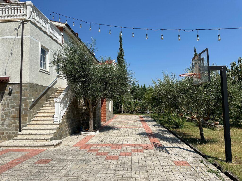Ne Vishnje Shesim Vile Unike! – Tiranë - 1
