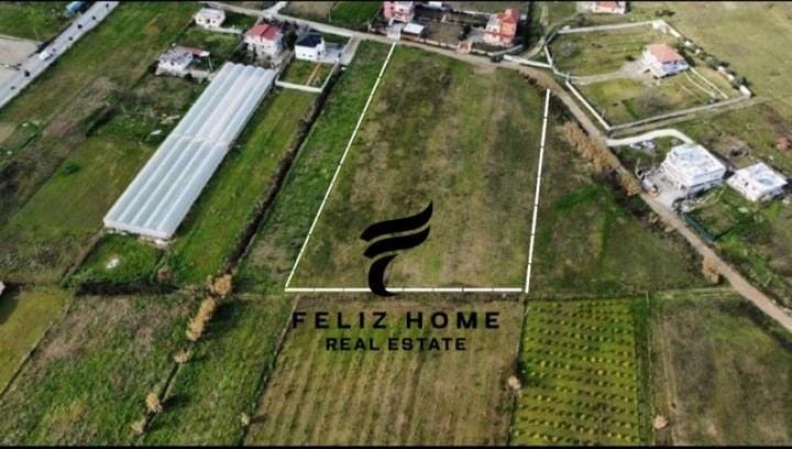 SHITET TRUALL 7000M2 PRUSH 700.000 EURO – Tiranë