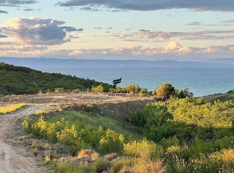 SHITET TRUALL13.500 M2 KEPI RODONIT 580.000 EURO – Tiranë - 1