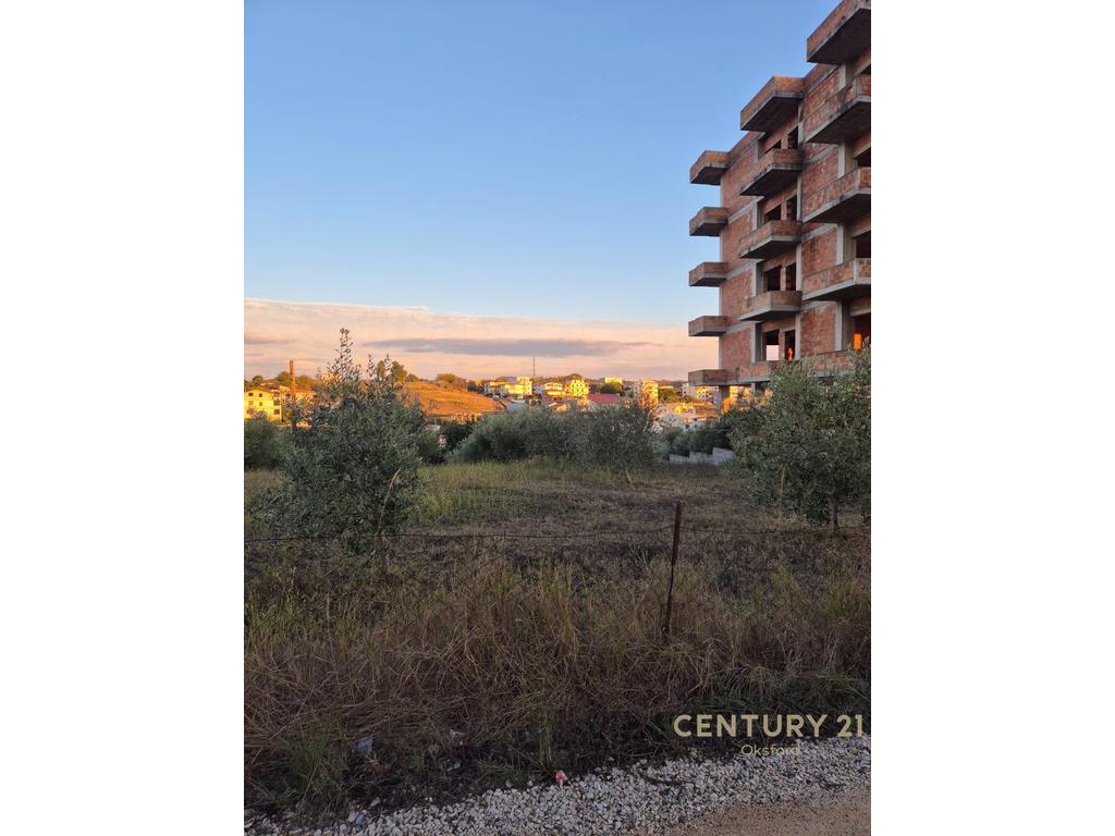 +355698329326 SHITET TOKE NE SHKALLNUR AFER VILES PASCUCCI – Durrës