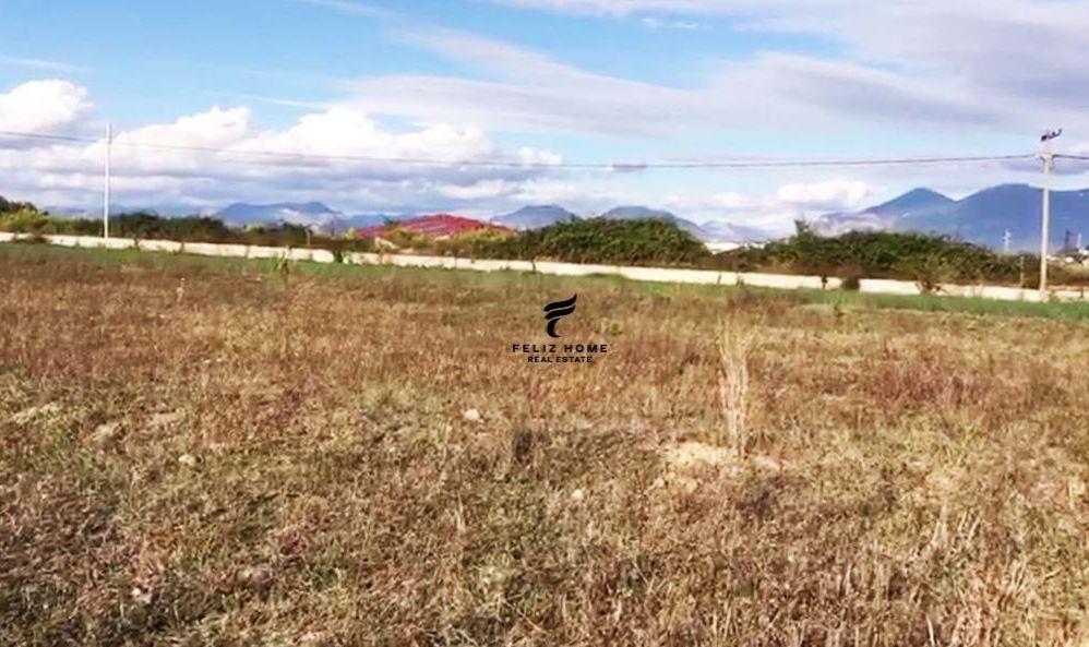 SHITET TOKE 8.500 M2 RINAS 595.000 EURO – Tiranë