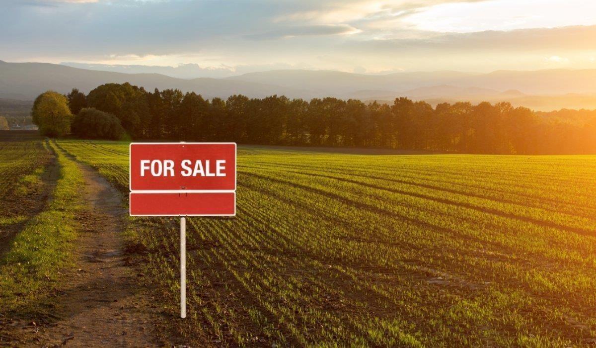 SHITET TOKE 11.000 M2 NE PEZE 450.000 EURO – Tiranë