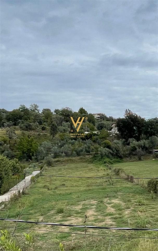 SHITET TRUALL 16.000 M2 PRANE TEG 3.200.000 EURO – Tiranë