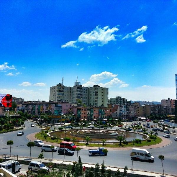 Ambjent zyrash me qera, Zogu i Zi – Tiranë