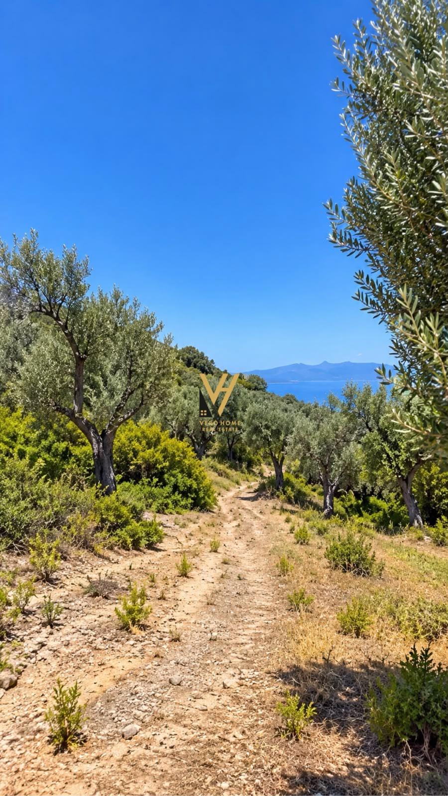 SHITET TOKE 1.500 M2 NE PIQERAS, SARANDE 100.000 EURO – Tiranë