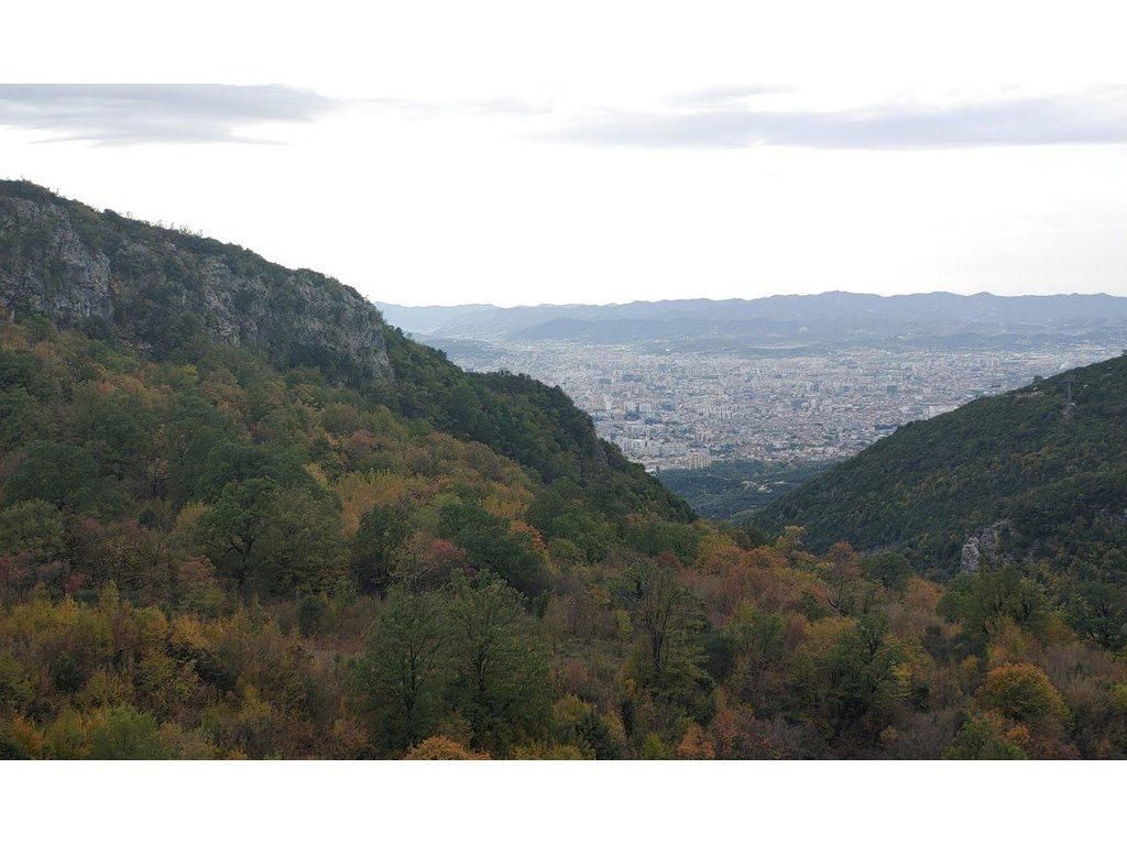 SHESIM TOKE NE LINZE/TERRA127677 – Tiranë